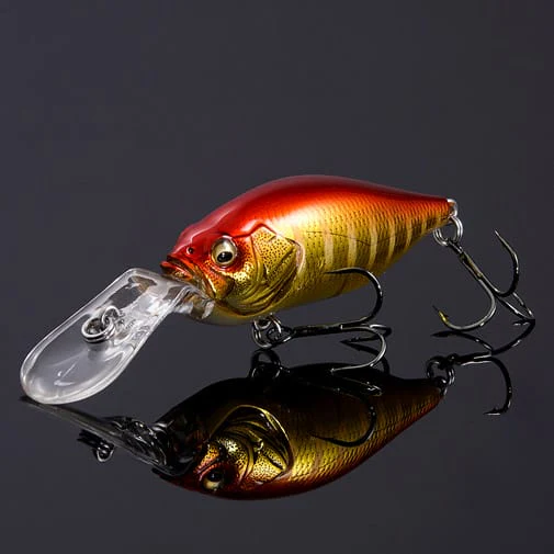 Thumbnail 25