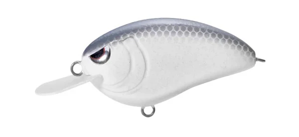 Thumbnail 15