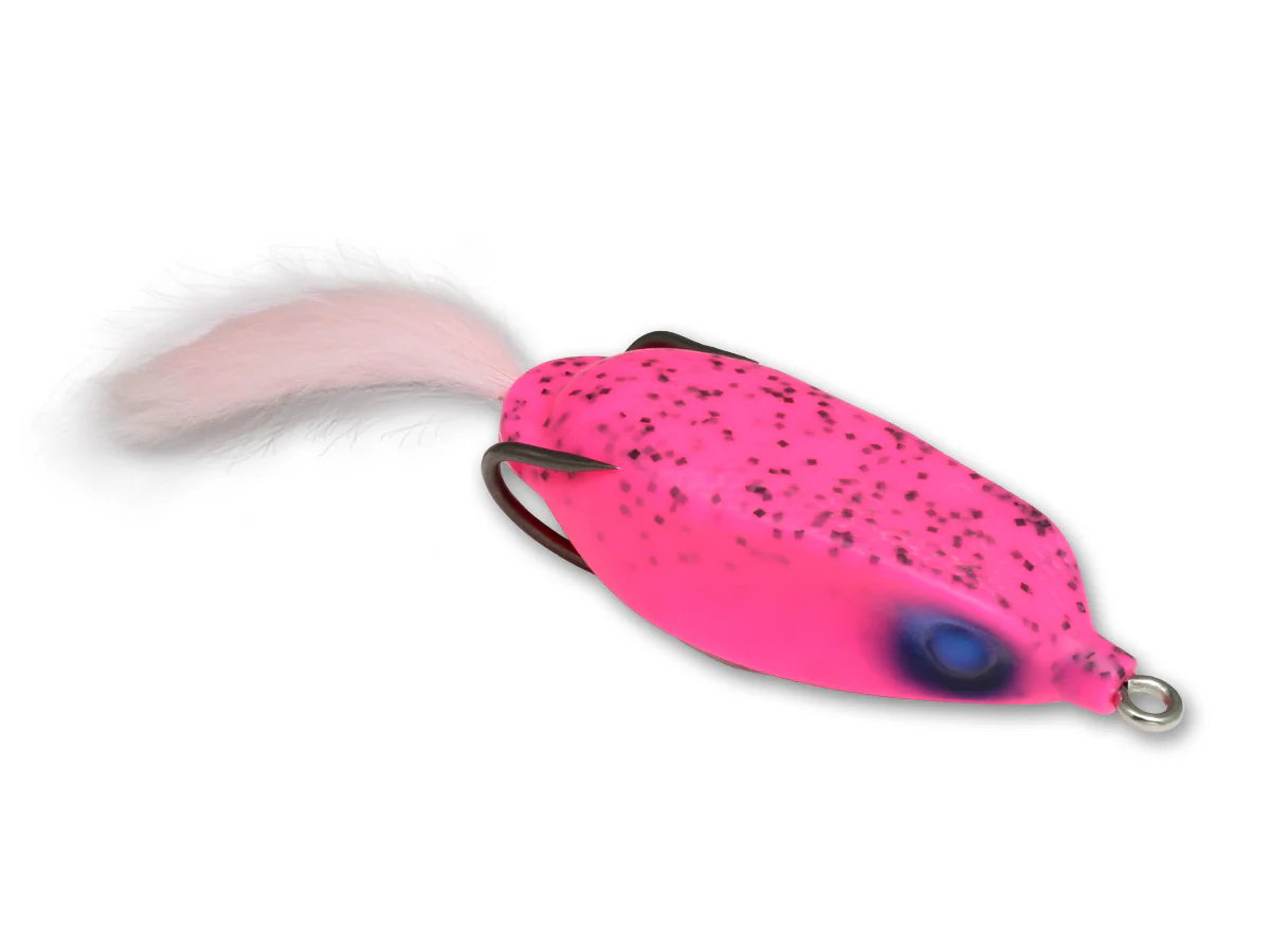 Thumbnail 14
